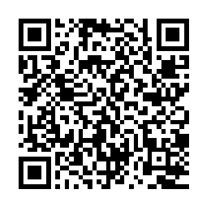 老神父已经看见议会大楼前的街道上有些人拿着标语在晃动了二维码生成