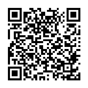 老祭祀和部落的其他人也不会轻易的答应上次取盐二维码生成