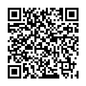 老祭祀和部落里能说的上话的人全都来她的院子里发号施令二维码生成