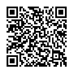 老祭祀才发现自己走了那么多步才无力的软下来二维码生成