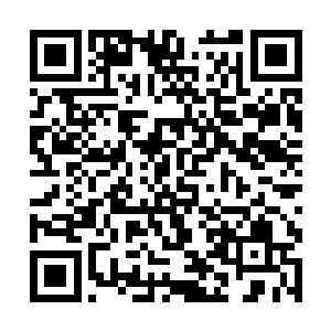 老祭祀气凌菲明知道生病还硬撑着结果却拖的严重了二维码生成