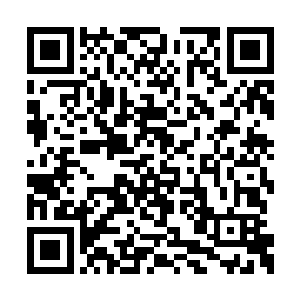 老者此刻顿时朝着自己的后面挥了挥自己的右手二维码生成