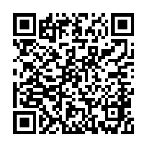 老者见到龙傲天的样子之后顿时也是无比的愤怒二维码生成