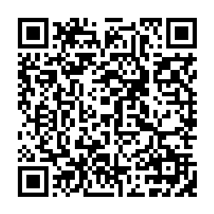 老臣推测出就连格森王国的国王陛下也不清楚秦皇国为何会突然支援格森王国二维码生成