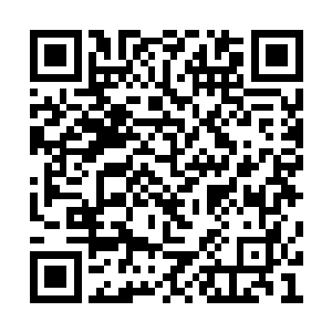 老虎和豹子麾下的骑兵没空理会这些逃亡的牧民二维码生成