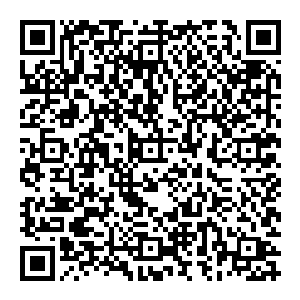 老虎将四颗本源之果和一堆各种果实被张铁吃下肚子后的综合实力在此刻张铁身上的表现给了一个大约为2的数值设定二维码生成