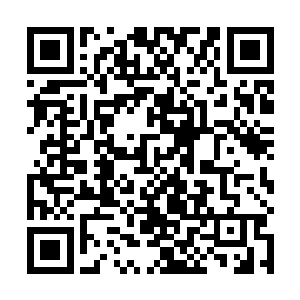 老衲只是依照师傅所言前来解救你们这些甘回头的痴人二维码生成