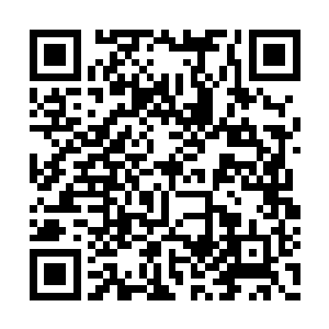 老鼠听秦洛这么一说也担心自己偷鸡不成蚀把米二维码生成