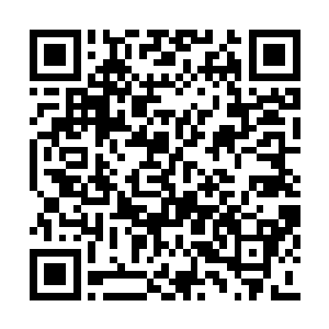 老鼠对那个往他鼻孔里塞蛇的女人更是恨之入骨二维码生成