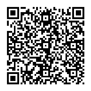 老龙已开始盘算自己要怎么战斗才能显得自己已经尽力却又不会在短时间内将流风打敗二维码生成