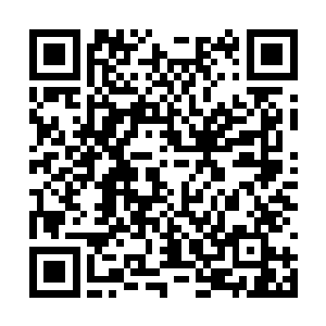 考生们更多关心的还是自己省份的成绩和满分作文二维码生成