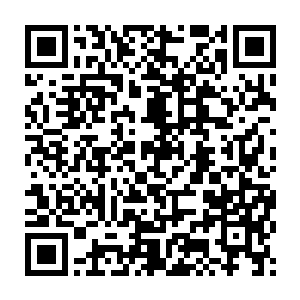 而一些身上只有一两种神光的七彩吞天兽却又能凭着悠长的岁月修炼二维码生成