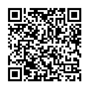 而一只如同蛟龙一样的巨大怪兽也在这时直冲天空的我们二维码生成