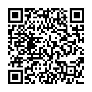 而一年的锻炼也大大提升了他的体质――别小看那两点体质二维码生成