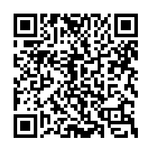 而一旁的霍君白却是如同一个犯了错的孩子一般二维码生成