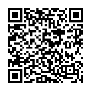 而一直安静跟在流墨墨身后的司空琳却是伶俐的开口二维码生成