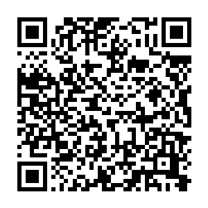 而一直站在白沧海与夜影身后的张小才等人这才纷纷上前对着林辰鞠了一躬二维码生成