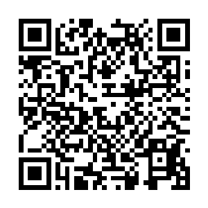 而一直跟着他的五个霍拉尔黑蛇术士则是直接上前二维码生成