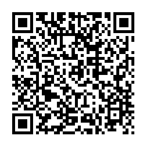 而一脸羡慕的那些人则是在地镇关见识过许紫烟收取河伯仙府的修士二维码生成