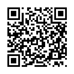 而一边的白端木这个时候惊讶的喊了一声二维码生成