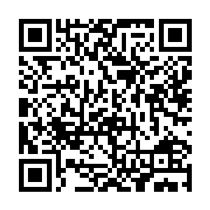 而万毒山脉中飘荡的毒气显得比白天更加强烈了几分二维码生成