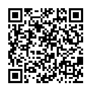 而三种鼻子的类型完全出现在同一个鼻子上面的时候二维码生成