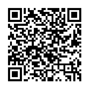 而三阶的妖兽大概就要炼气期第十二层左右的弟子才能够对付二维码生成