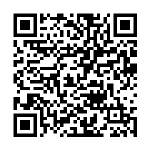 而上一代的仙尊如果不能够将毁灭族人的罪人致死二维码生成