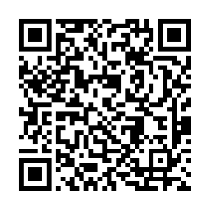 而下位面的居民不管什么时候都是最不受欢迎的那种二维码生成