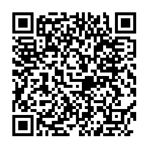 而不时还可以看到巡逻的士兵和骑着高头大马的骑士沿着道路走过二维码生成