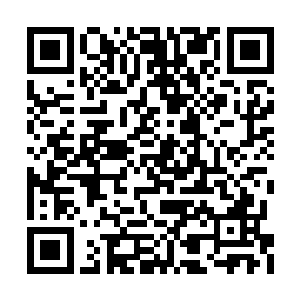 而不是一个第三境界中期修真者使用的法术攻击二维码生成