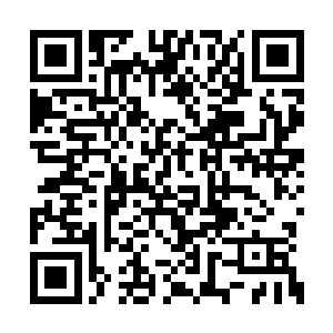 而不是为了凌兰……想到自己差点表错情丢了脸二维码生成