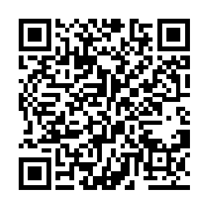 而不是每天都有一群凶神恶煞的人冲到我们家里逼债二维码生成