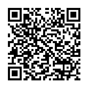 而不是那些小的能够灵活从他们的铠甲和衣物之间钻进去的虫子二维码生成