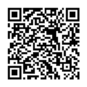 而且……我相信那些人肯定也给你使用了一些基因药剂二维码生成
