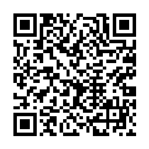 而且…耶律泓与定王府的关系远比耶律野要好得多二维码生成