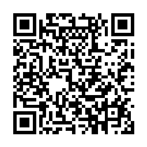 而且一上去他身子一晃左腿一软重重的跪在了地上二维码生成