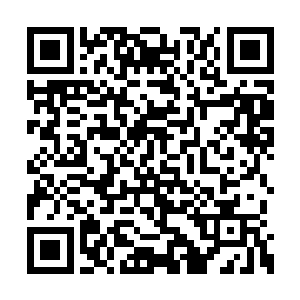 而且一共也只经历过东皇太一和楚旬这两个主人二维码生成