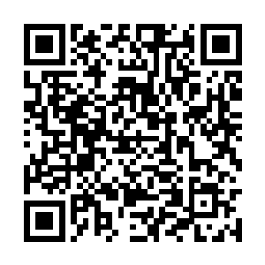 而且上次那滴精血也大部分都被你压制在肉身之中二维码生成