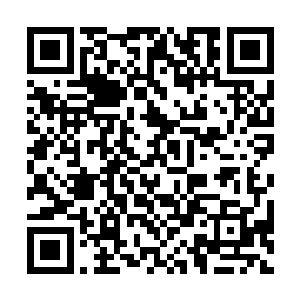 而且不是所有s级作战人员都能够入选路西法小队的二维码生成