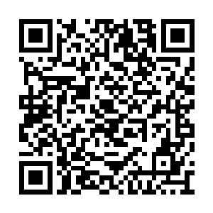 而且不论是出身还是长相都是超级一等一的姑娘二维码生成