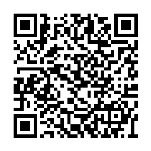 而且两个人都是死活不肯透露曾在那支部队服役二维码生成