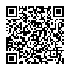 而且个个儿都成功格挡了我的攻击……疯了吧这是二维码生成