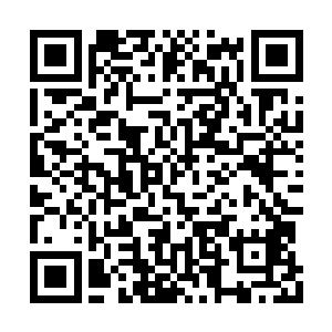 而且也不见孤狼和铁熊到北辰皇朝和迷族找她们二维码生成