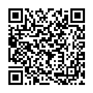 而且也只有他们才能感知到新世界大门开启的契机二维码生成