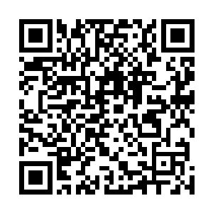 而且也很大可能性组织部的方案就是要把自己搁在宜山了二维码生成