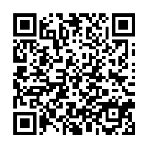 而且二十万中阶混沌石一赔三可是六十万中阶混沌石二维码生成