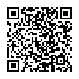 而且云顶仙宫这里可不是他们随便就可以打下来的二维码生成