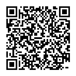 而且今年投入这大自己还是按着原来的比例分普天下都没这个理去二维码生成