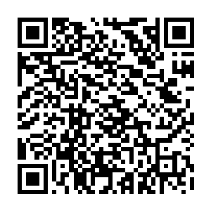 而且从现场掉落的弹壳和部分散落在地上的已然变成零件状态的枪支来说二维码生成